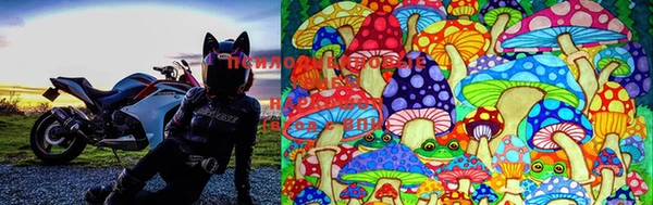 MDMA Premium VHQ Алексеевка