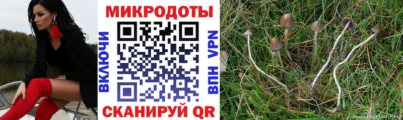 где продают   Нерехта  Галлюциногенные грибы ЛСД 